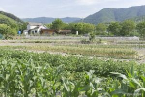 평리산대추마을