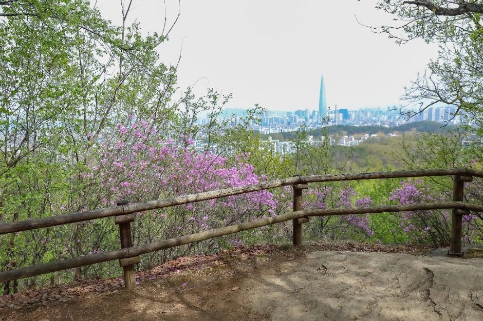 [서울둘레길 9코스] 대모·구룡산코스
