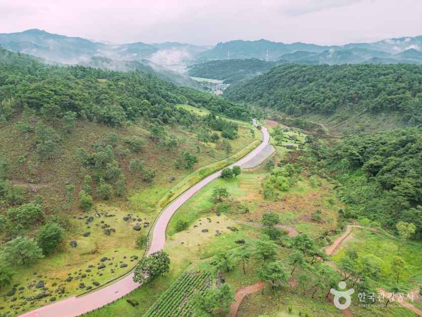 화순 고인돌군 유적 [유네스코 세계유산]
