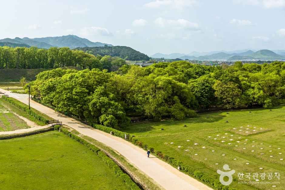 경주 계림 (3) 