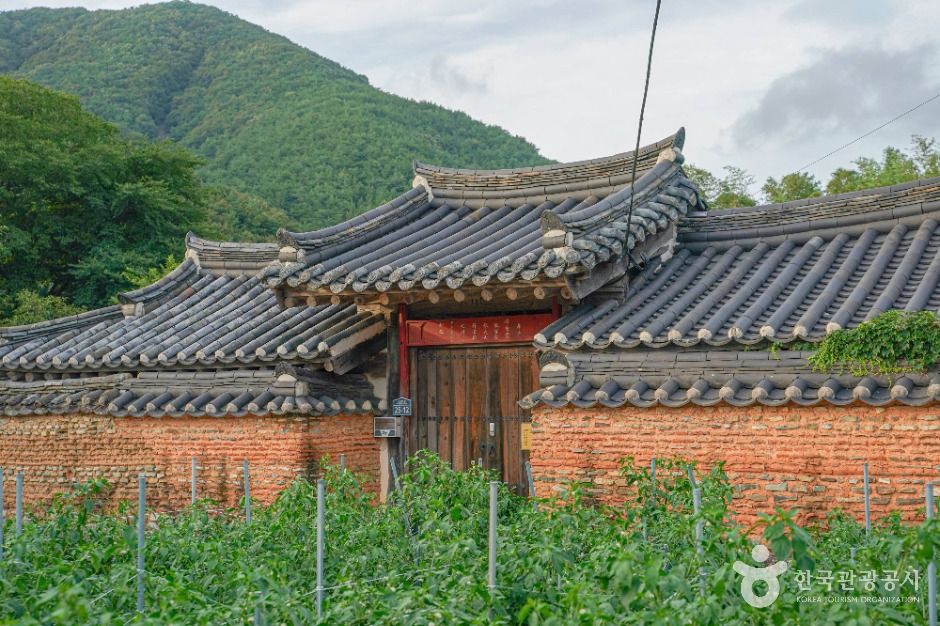 청광새들녘마을