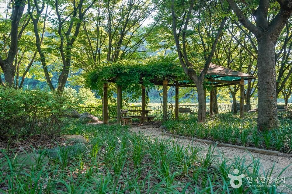 고령_미천공원 (3)