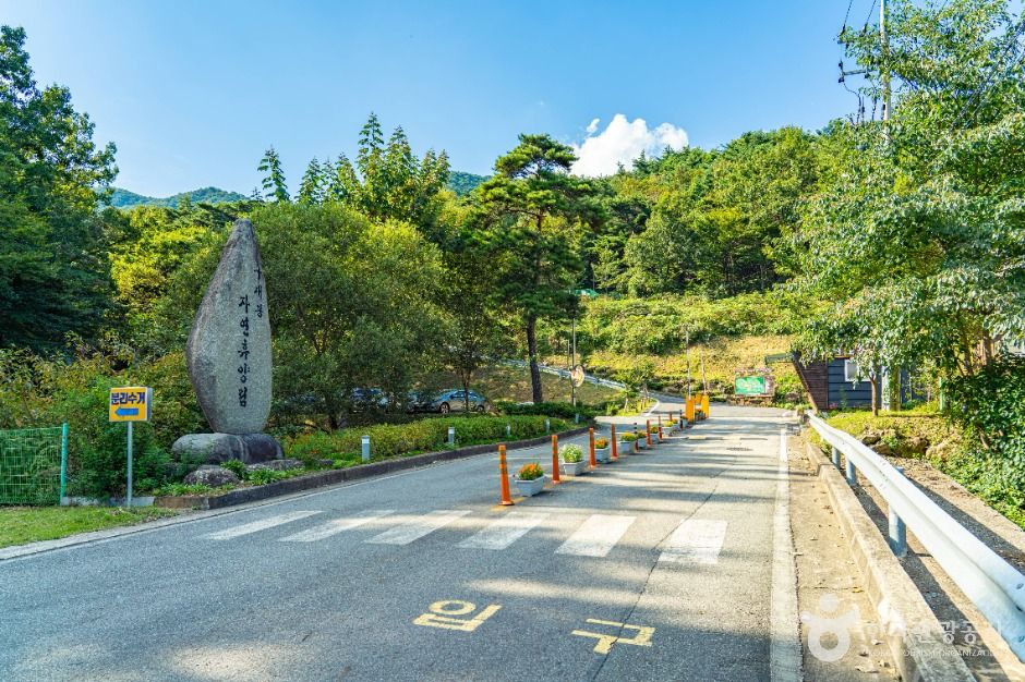 구재봉자연휴양림