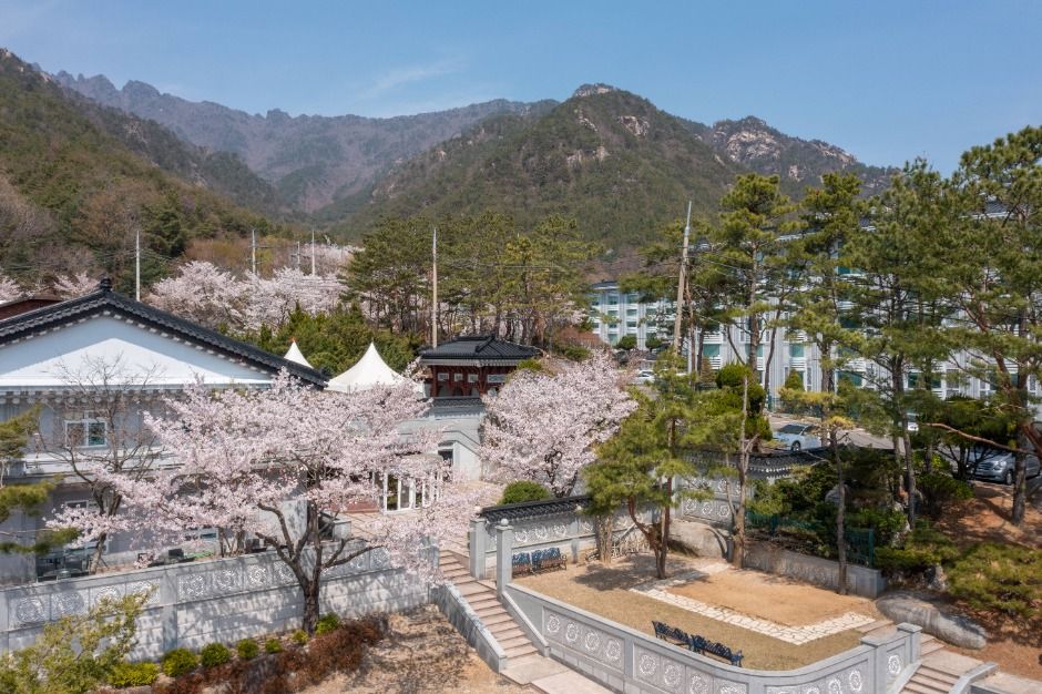 성주_가야호텔 (2)