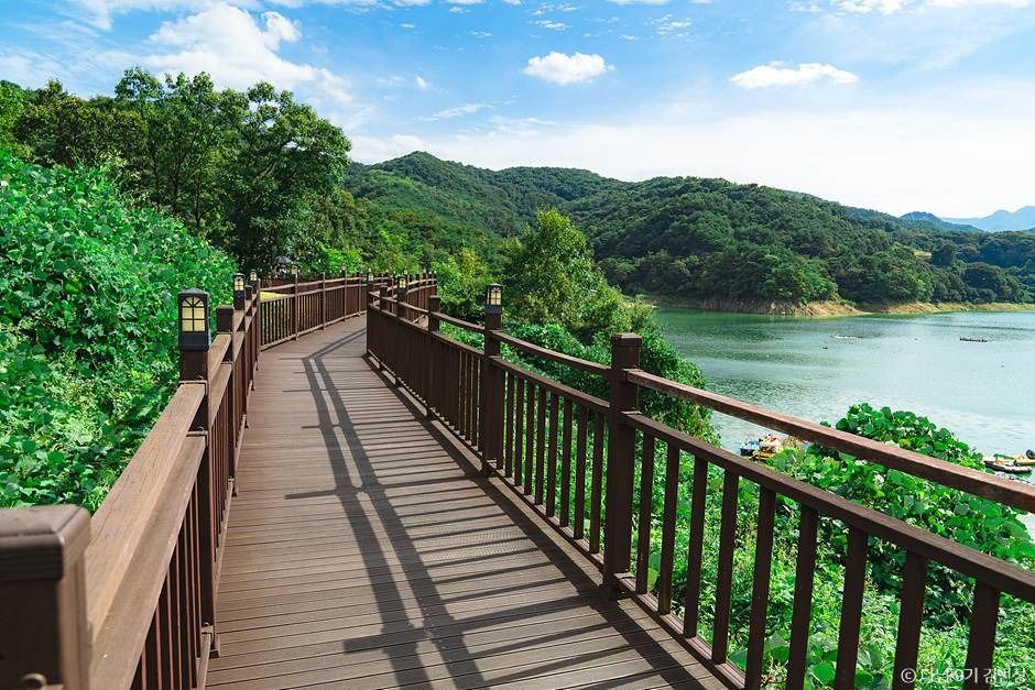 thumbnail-제천 옥순봉 출렁다리-5