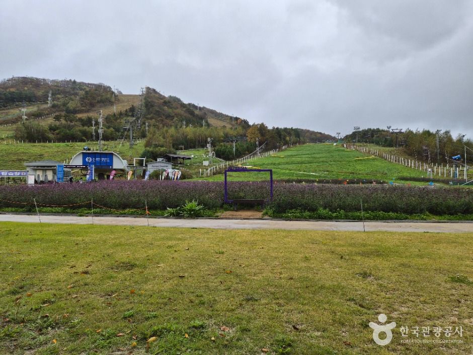 thumbnail-홀리데이인 알펜시아 평창 리조트-10