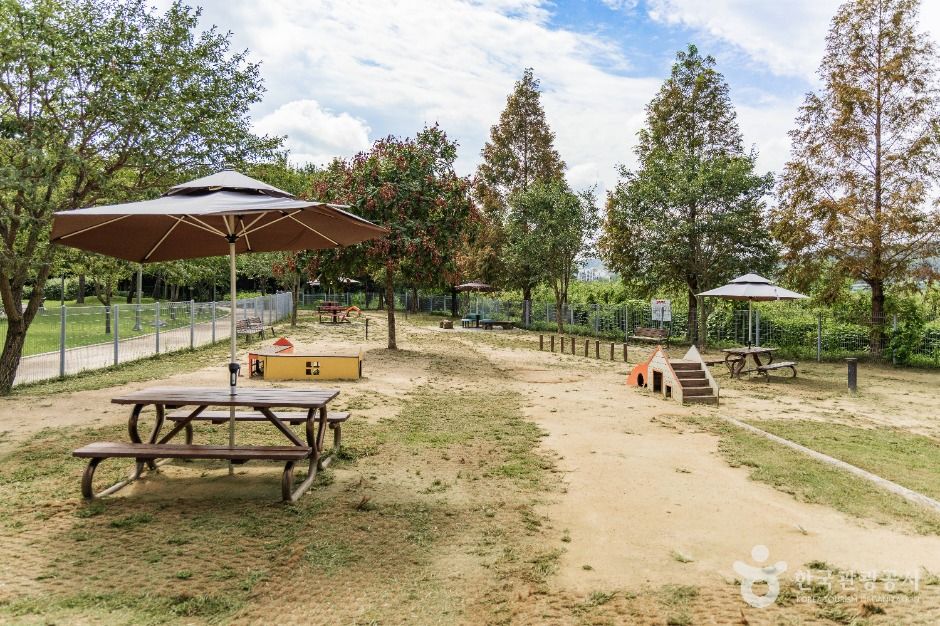 기흥레스피아호수공원 반려동물놀이터