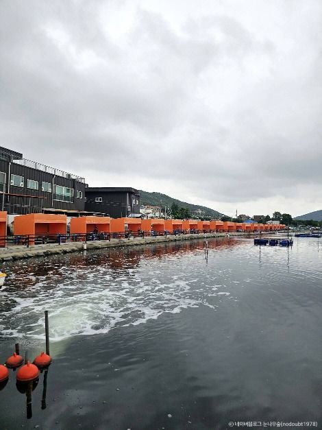 선두바다낚시터