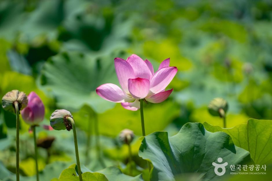 뒷미지수변공원