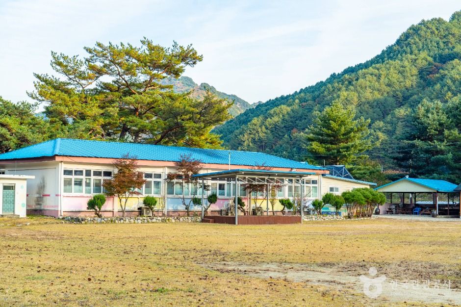 인제_소치길 (2)