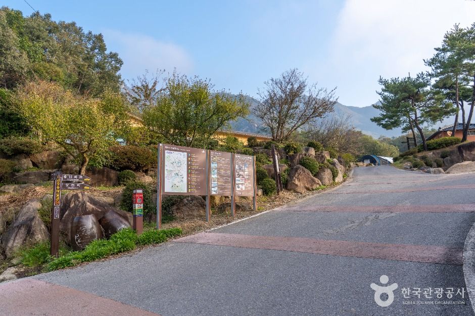 제천 산야초마을