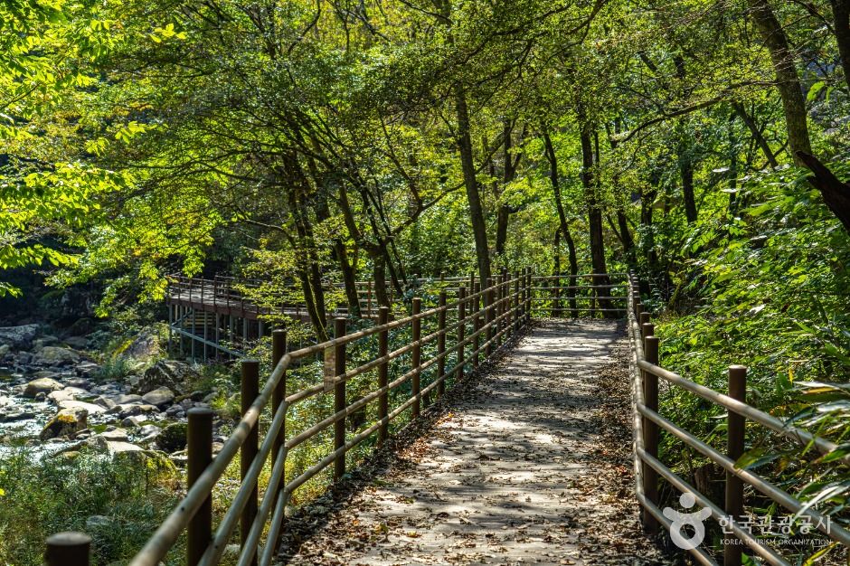 덕산계곡(덕산용소)