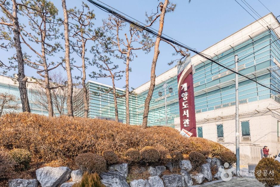 인천_인천 계양도서관 (1)