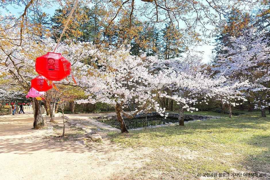 thumbnail-내소사(부안)-14