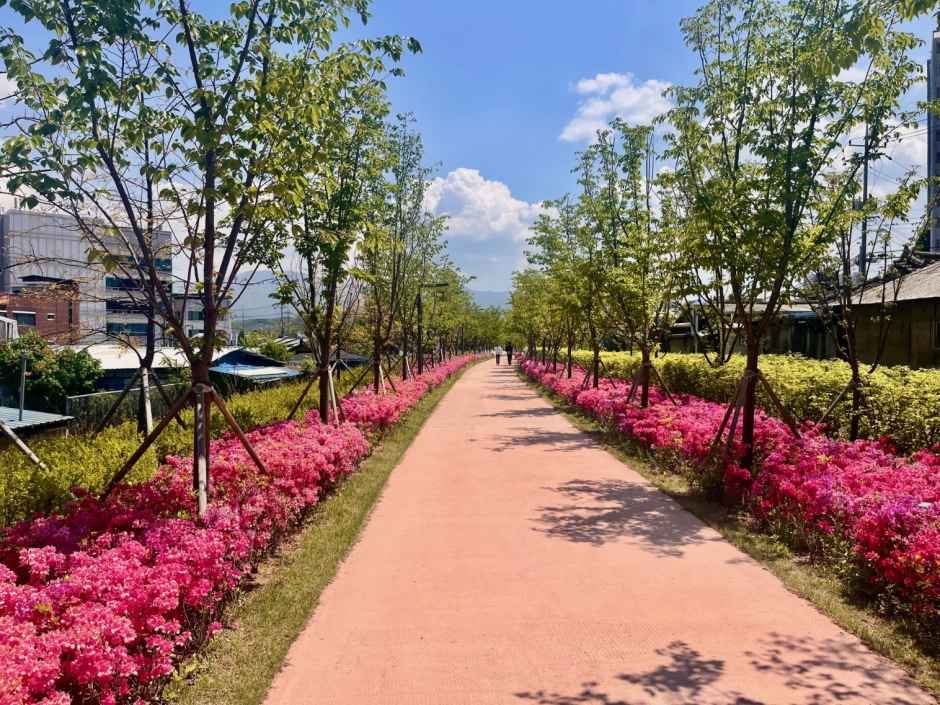 thumbnail-치악산 바람길숲-5