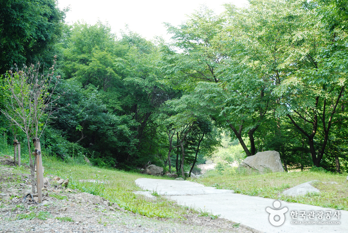 臥龍自然休養林(와룡자연휴양림)5