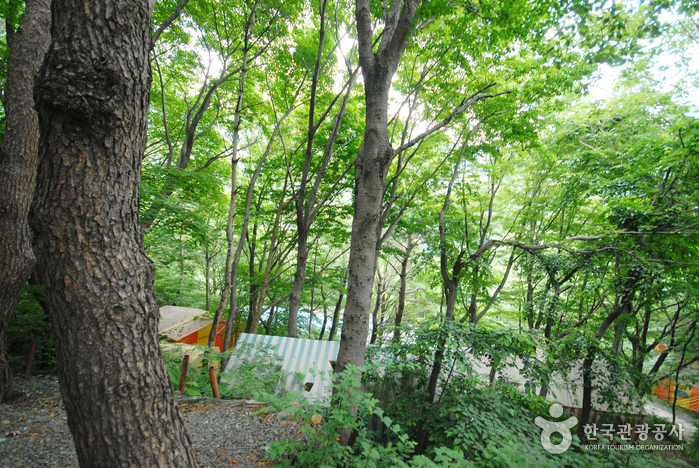 thumbnail-Ganwol Recreational Forest (간월자연휴양림)-14