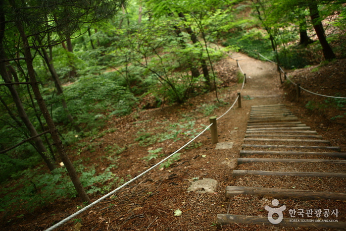 Arboreto Hongneung (홍릉수목원)