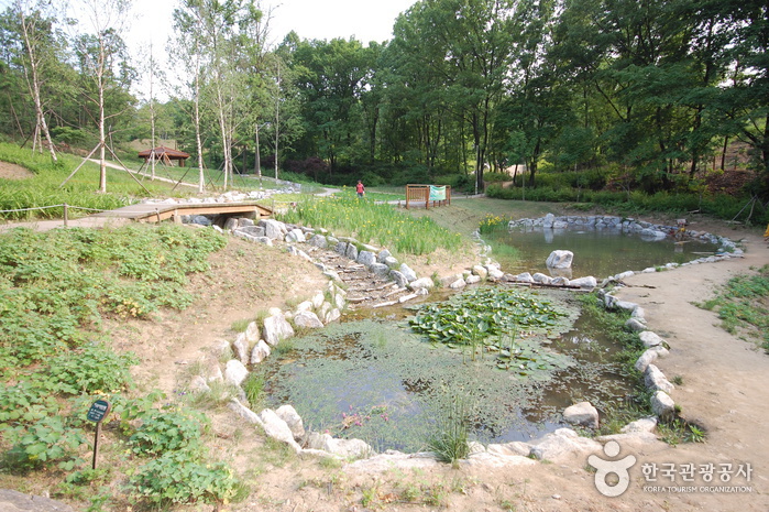 Parque Ecológico del Monte Gwanaksan (관악산 생태공원)