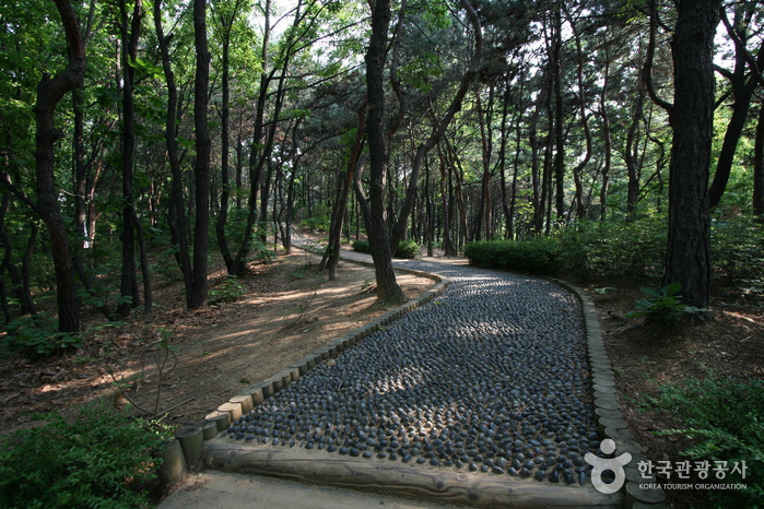 梧琴公園(오금공원)