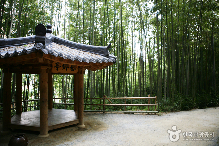 Juknokwon (Bamboo Garden) (죽녹원)