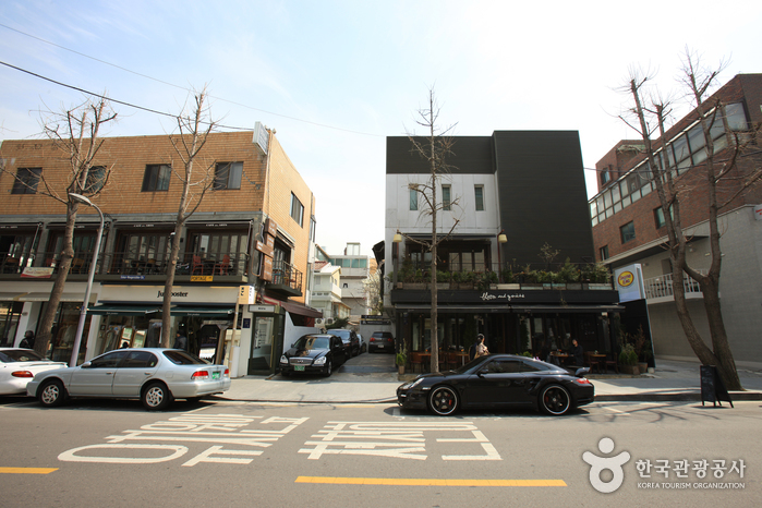 Sinsadong Garosu-gil Road (신사동 가로수길)