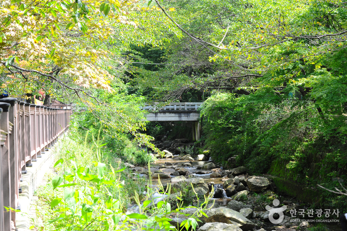소요산국민관광지 사진3