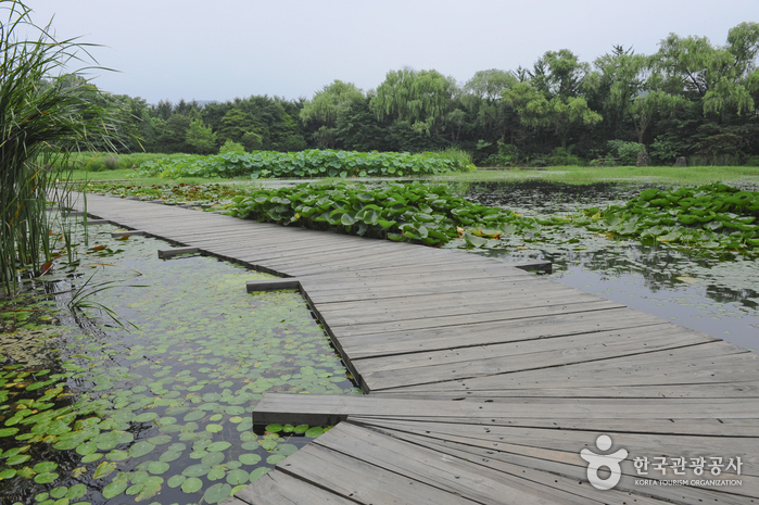 The Botanical Garden BCJ (Byeokchoji) (벽초지 문화수목원)