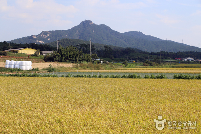 서산의 진산인 팔봉산