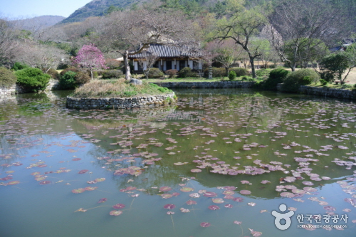 진도 운림산방 사진15
