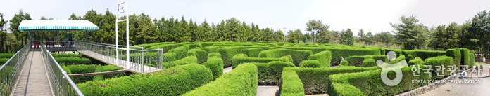 Gimnyeong Maze Park (김녕미로공원)