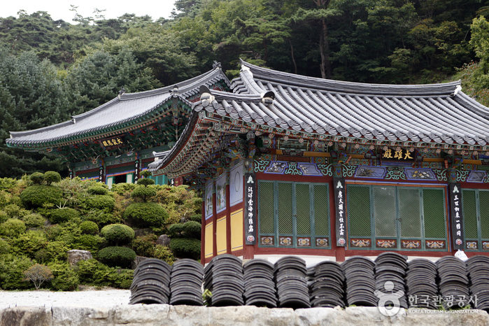Choamsa Temple - Yeongju (초암사(영주))