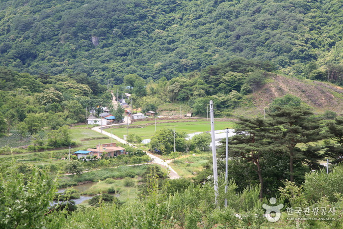 Gudam Village (구담마을)