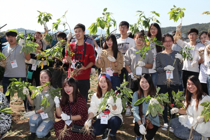 금산인삼축제 2016