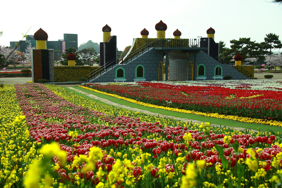 Taean Internationale Tulpenmesse (태안 세계튤립꽃박람회)