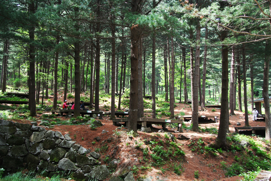 국립청태산자연휴양림 캠핑장2