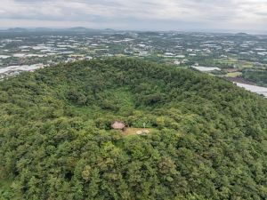 제주_제주_저지오름(닥몰오름,새오름) (3)