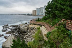 속초 외옹치 바다향기로