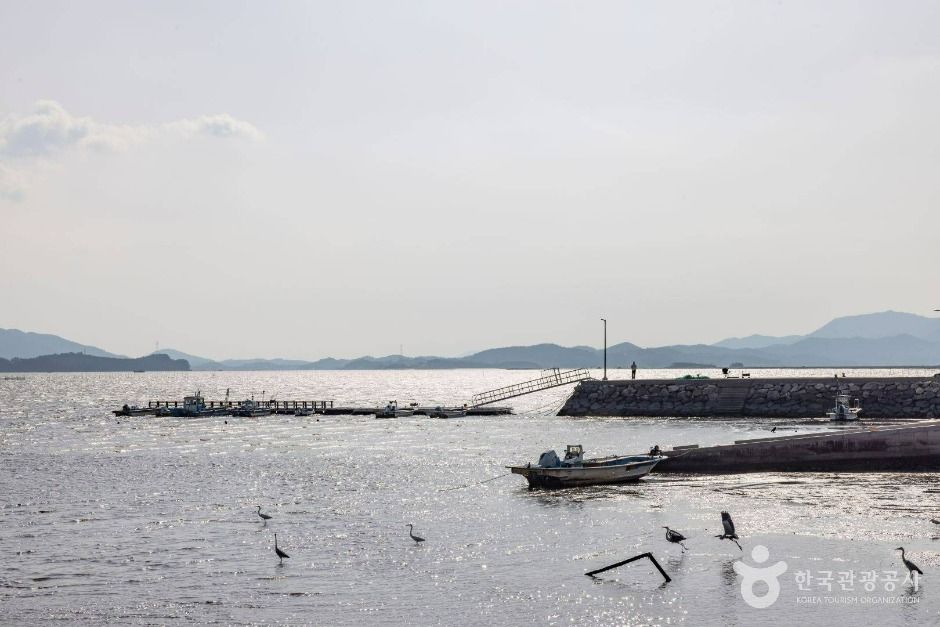 화포해변