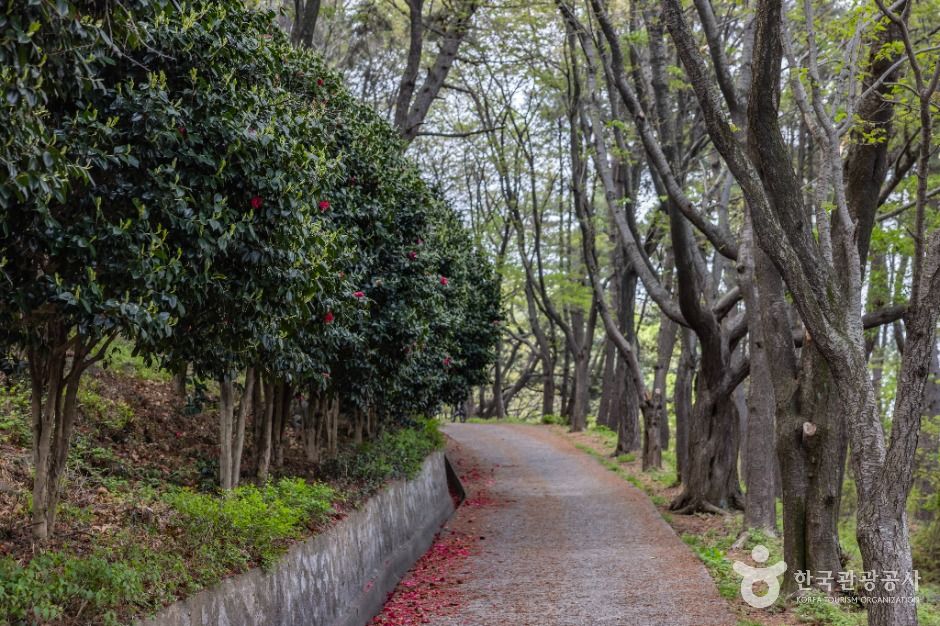 신선대(부산)