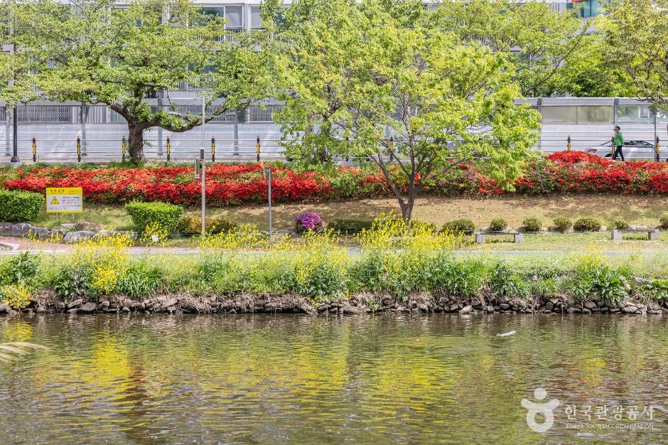 thumbnail-온천천시민공원-11