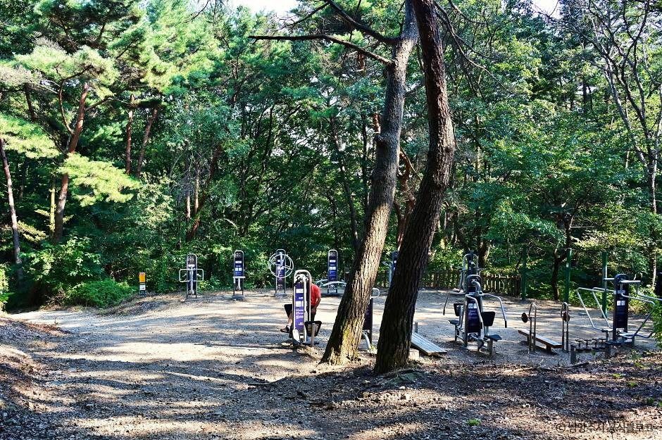 천마산 시립공원