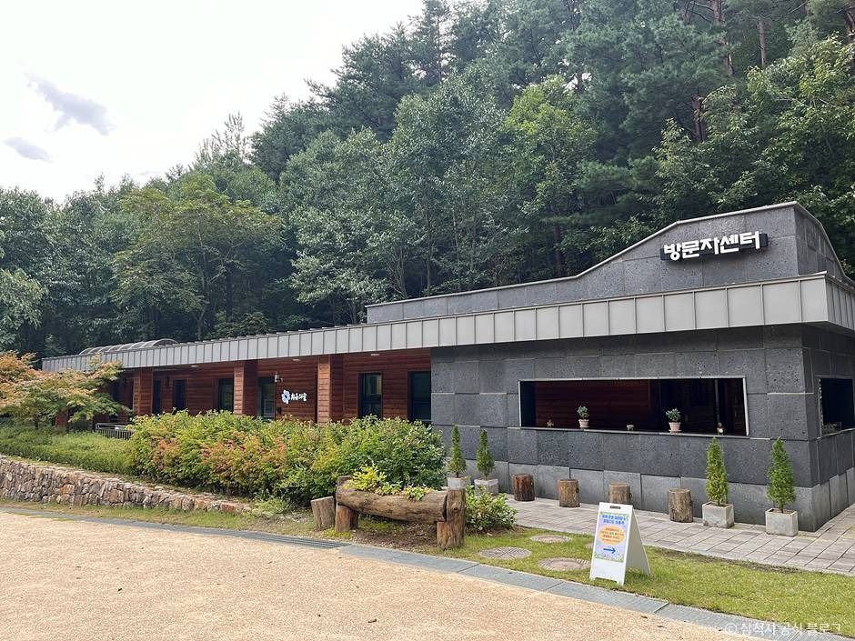 삼척 활기 치유의 숲