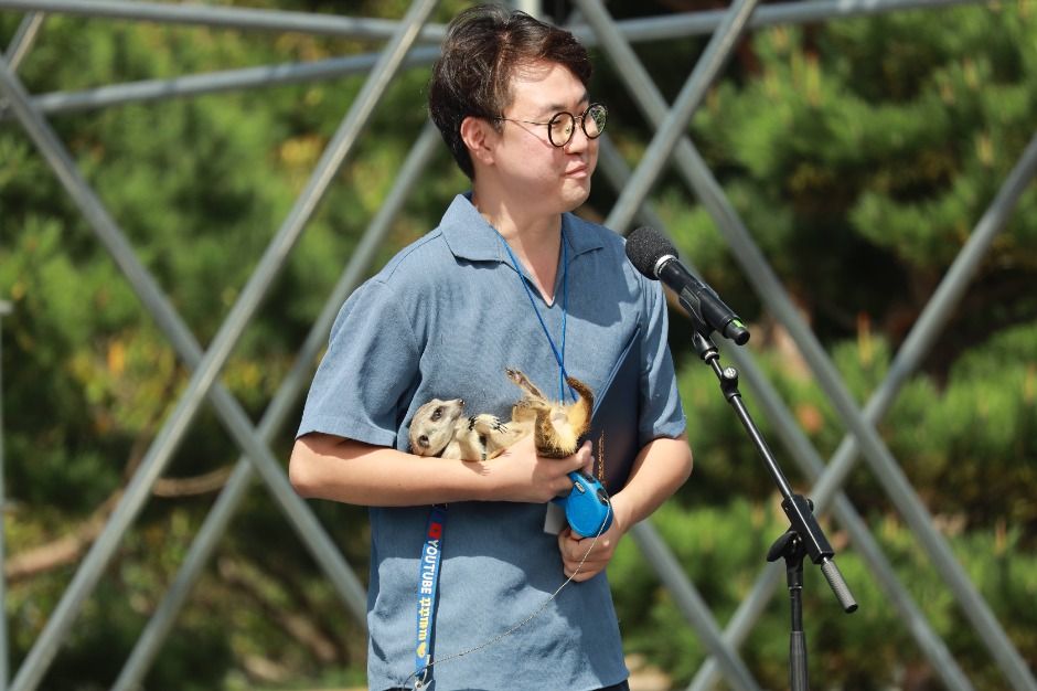 Festival del Día de la Juventud de Corea (대한민국 청년의 날)