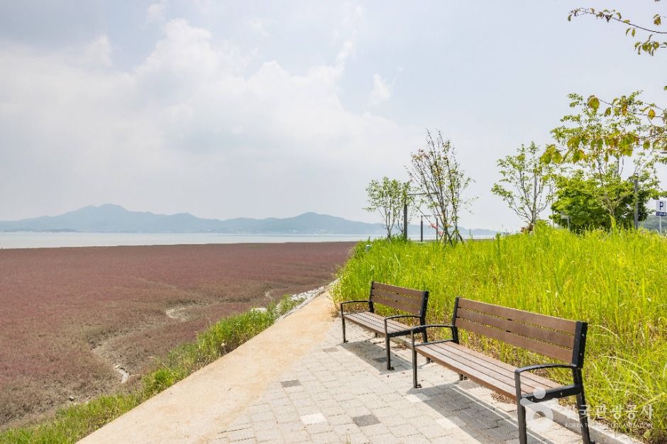 석모도 칠면초 군락지