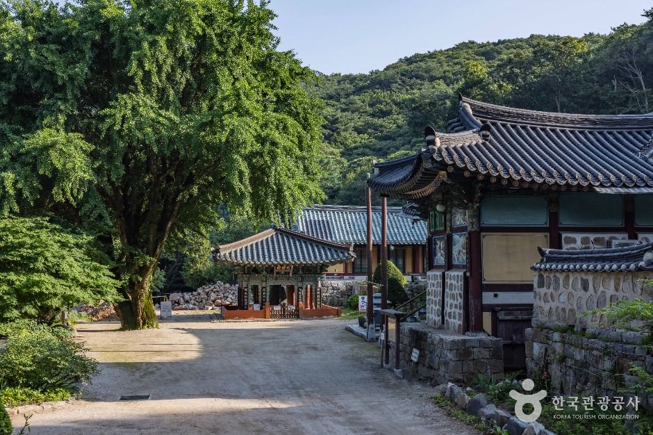백련사(강화)