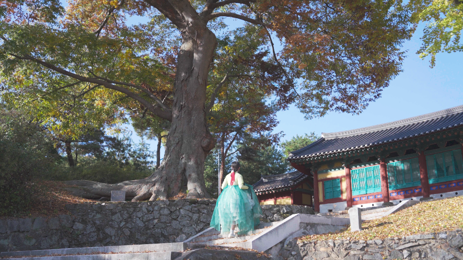 괴산_괴산향교 (2)