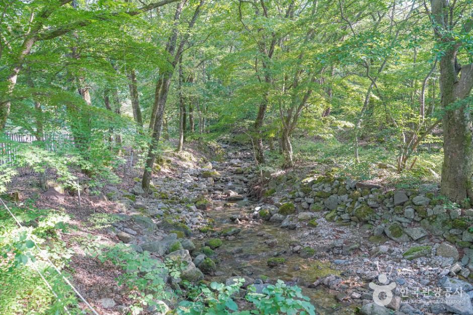 용흥사계곡