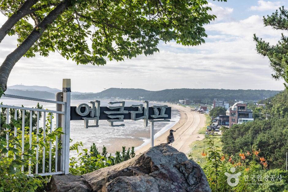 인천_엠클리프 (10)