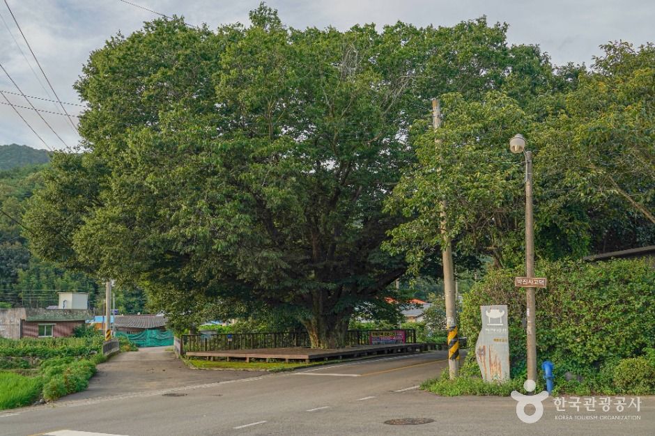 청광새들녘마을